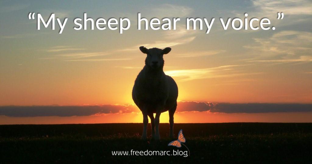 12. God in the&nbsp;Garden