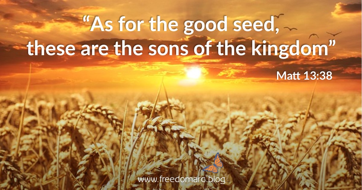 22. He Disciplines Those He&nbsp;Loves