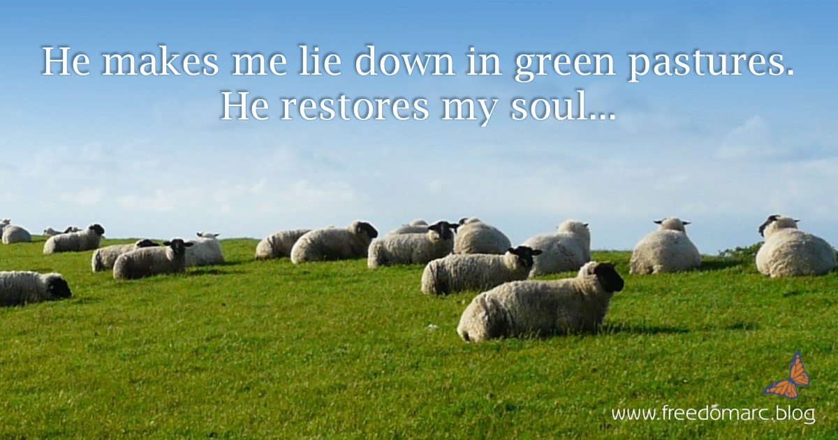 20. Meditating on Psalm&nbsp;23