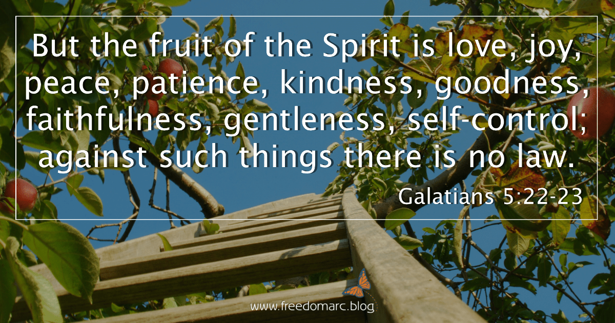 129. Flesh vs&nbsp;Spirit