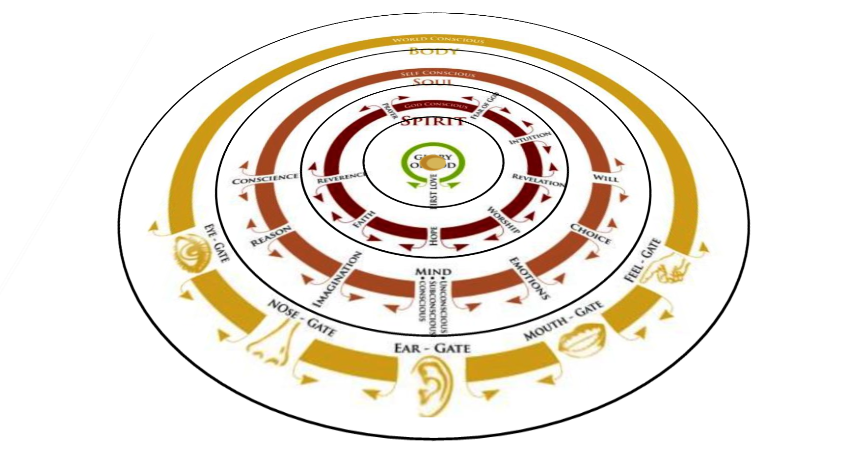 gates wheel perspective