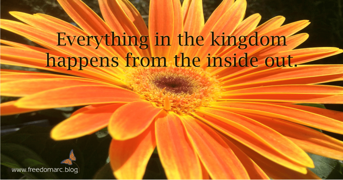 133. From The Inside&nbsp;Out