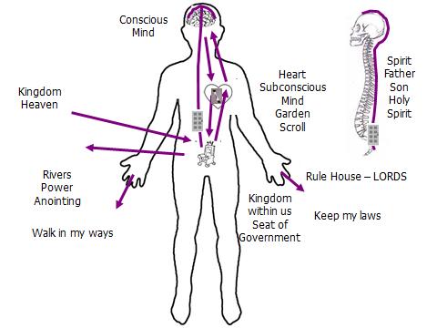 Within Us (diagram)
