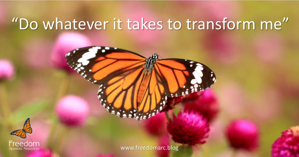 139. Declarations For Transformation