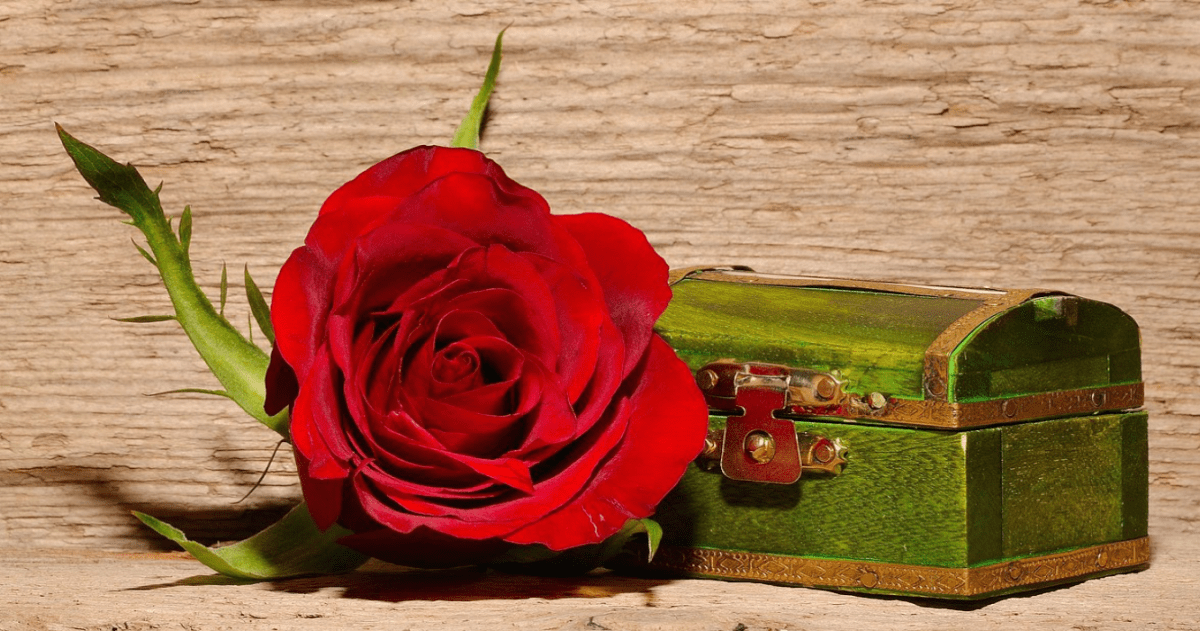 159. Your Word, Treasured in My&nbsp;Heart