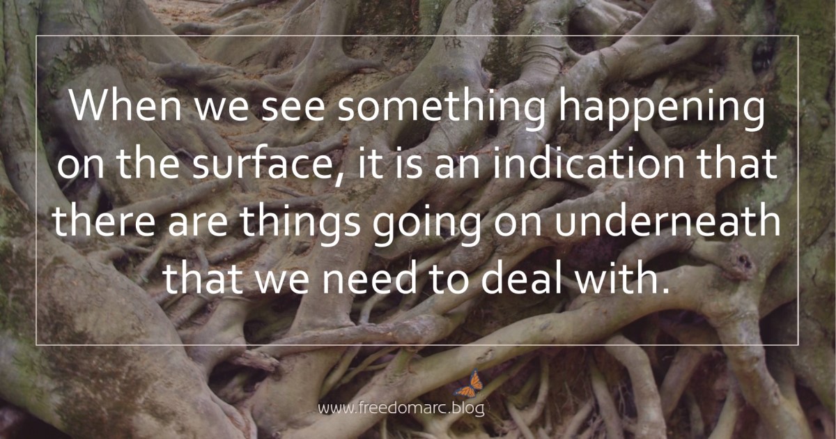 170. Seeds, Roots and&nbsp;Fruit