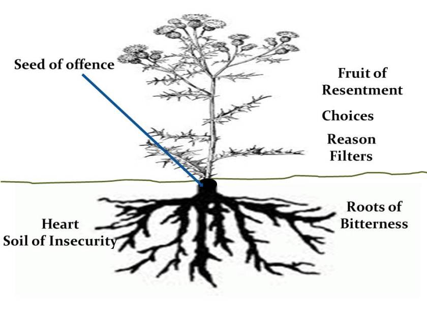 Transformation 2012 7_312