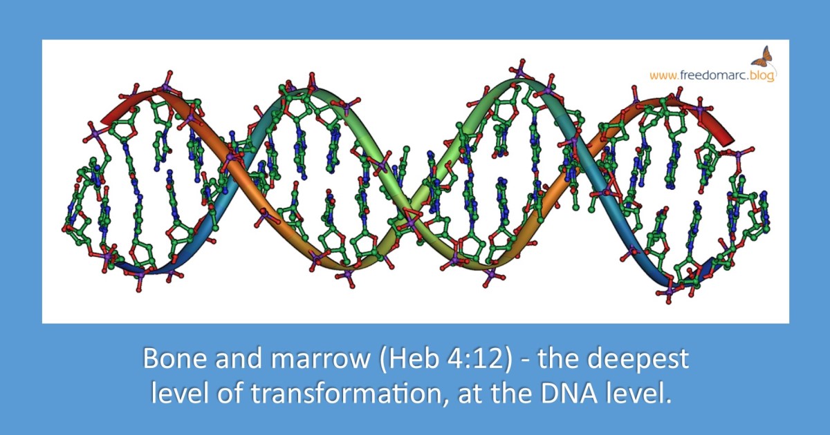 178. No Spot or&nbsp;Wrinkle