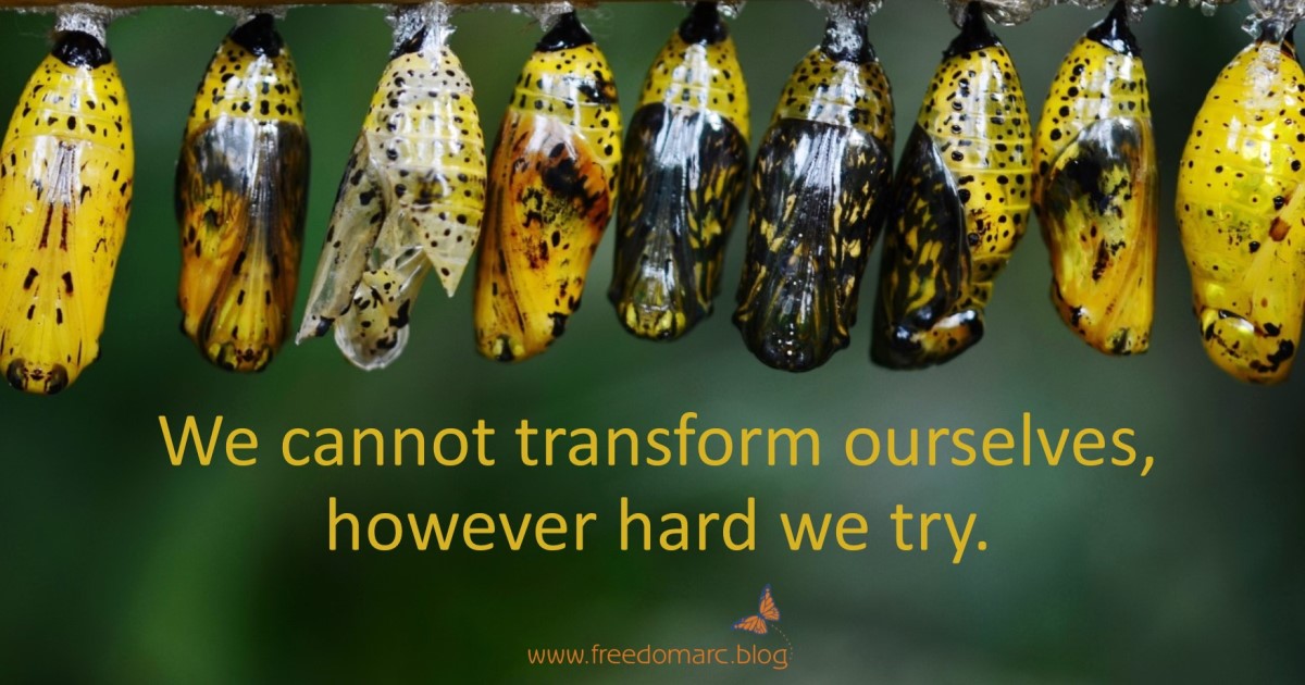 182. Not Of This&nbsp;Creation