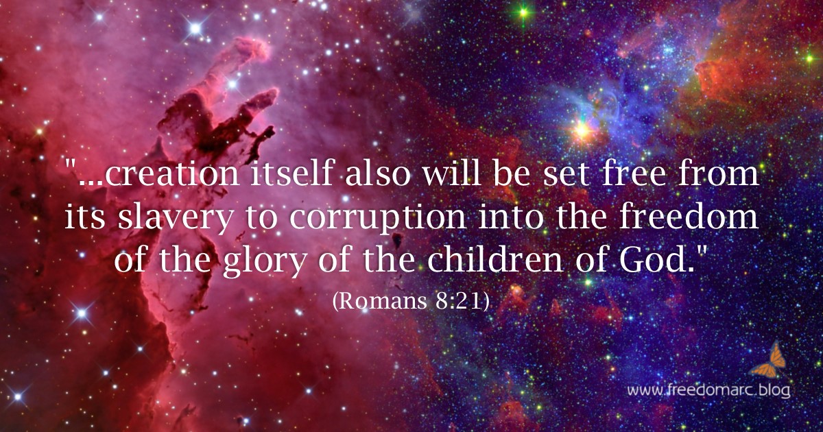 258. The Glory of the Children of&nbsp;God